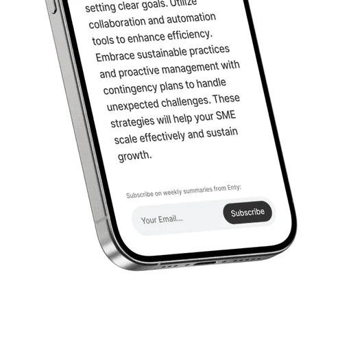 Getsummerai product interface overview