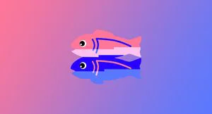 Glitch updates and changes announcement