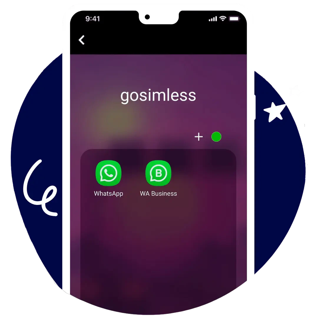 Gosimless product interface for WhatsApp Business access