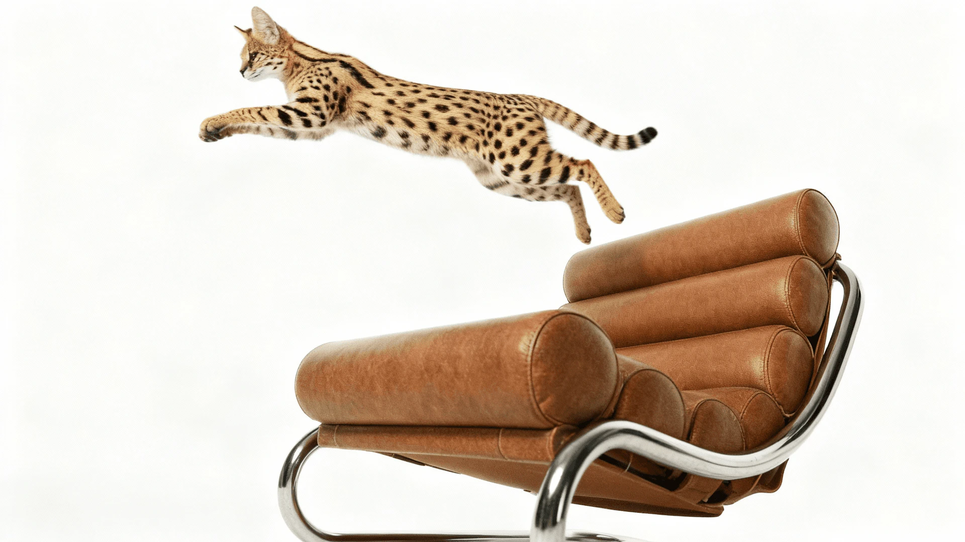 Graphisai feature demonstration