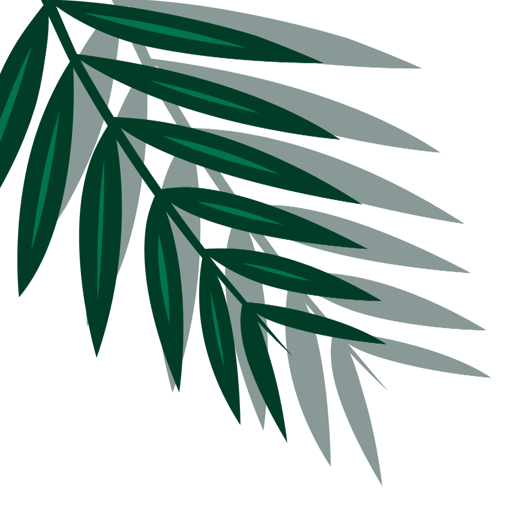 Guruais 产品概述