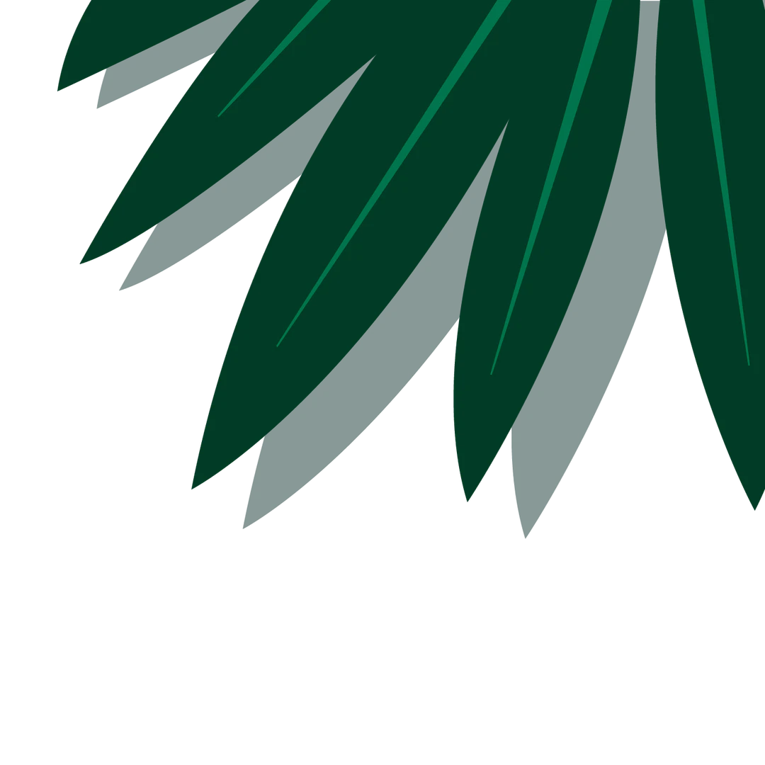 Guruais 界面示例