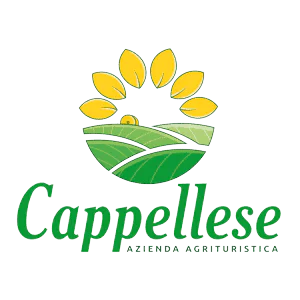 Helpytravel product overview with digital guest guide features