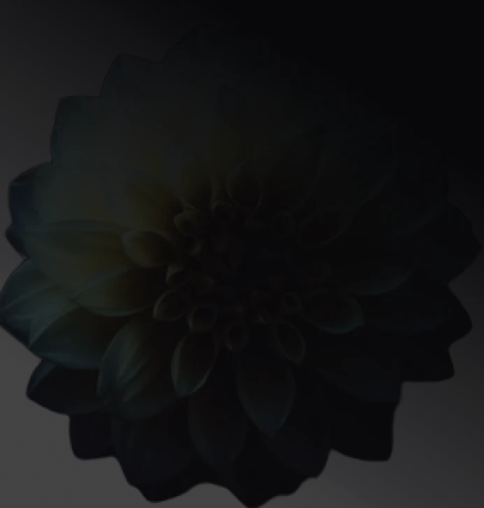 Hootzai product overview