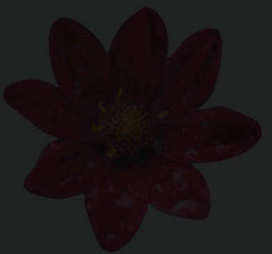 Hootzai user scenario image