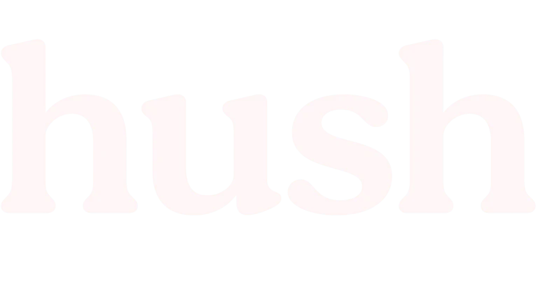 Hush Privacy Ai feature demonstration