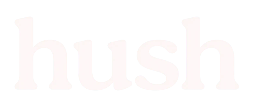 Hush Privacy Ai product overview