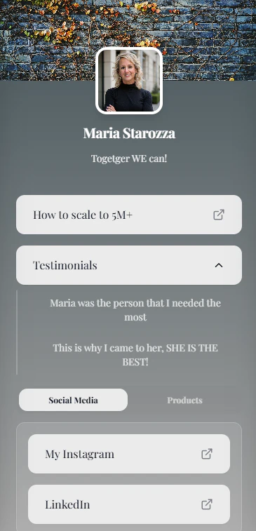 Hydralink user interface showcasing customization options