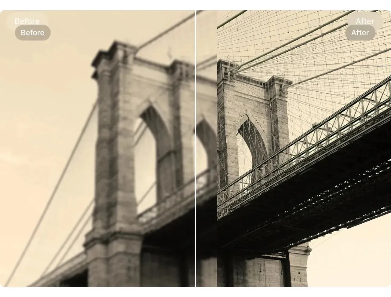 ImageColorizer interface displaying enhanced photo quality