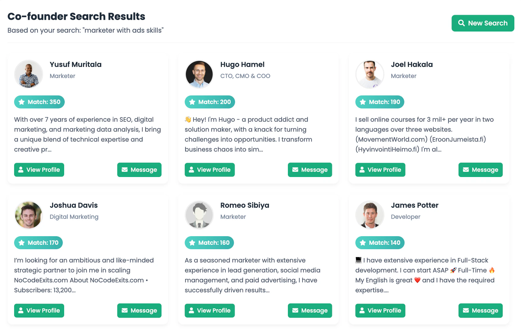IndieMerger AI matching interface