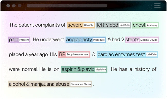 Insightsaio NER Feature Demonstration