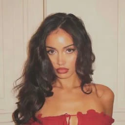 Kira user scenario image