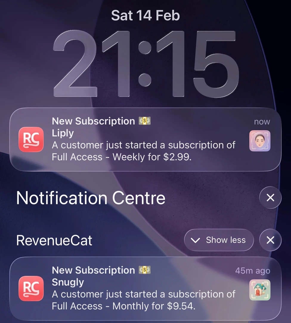 Example of Larrybrain use case with monetized applications