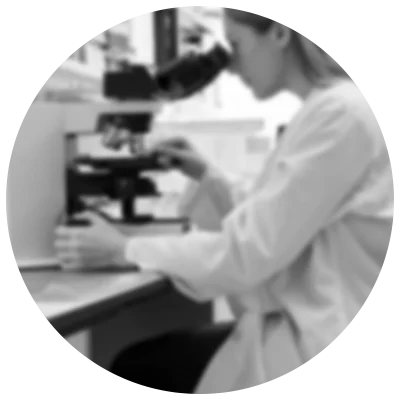 Lawgeex 合同谈判用户界面