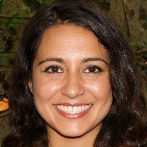 LessonPlans.ai use case example