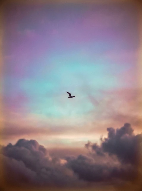 LetzAI feature demonstration with advanced editing tools