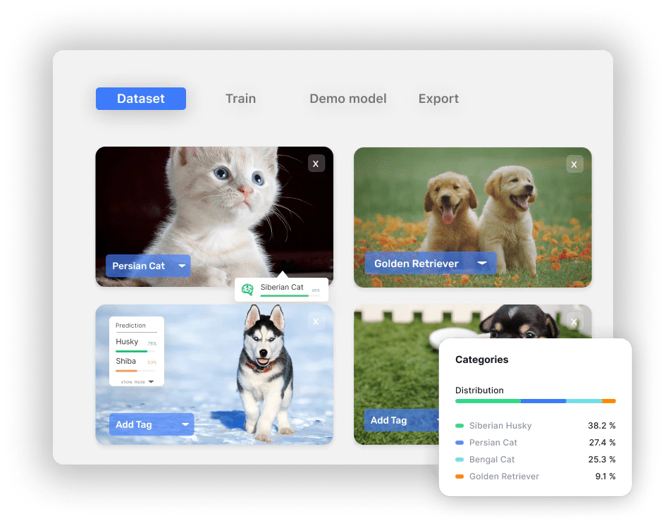 Liner Ai product interface overview