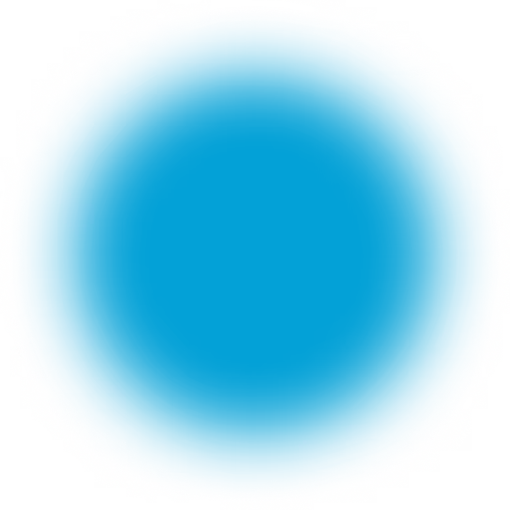 Littlebirdai product overview and interface