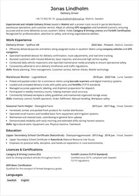 Loomacv ATS-friendly template demonstration