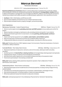 Loomacv CV template example