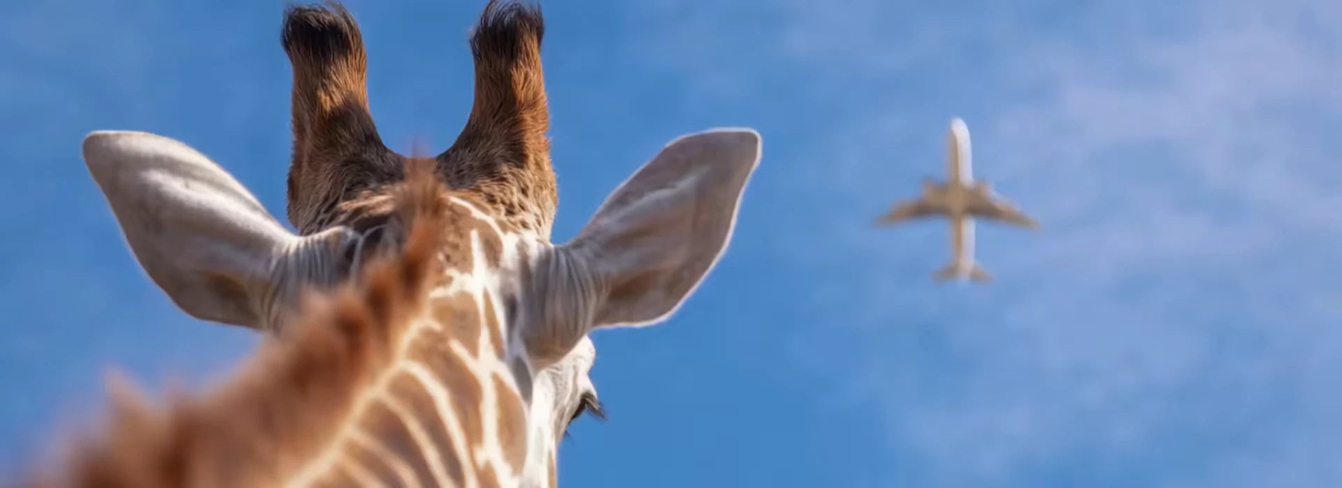 LTX product overview with multimodal video generation features