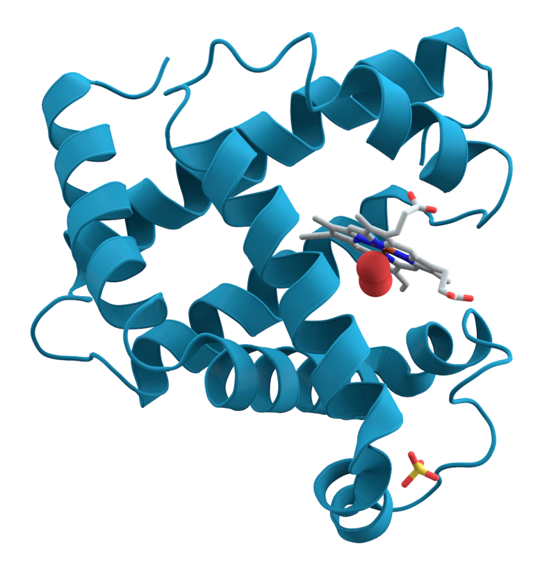 Lucere protein data visualization example