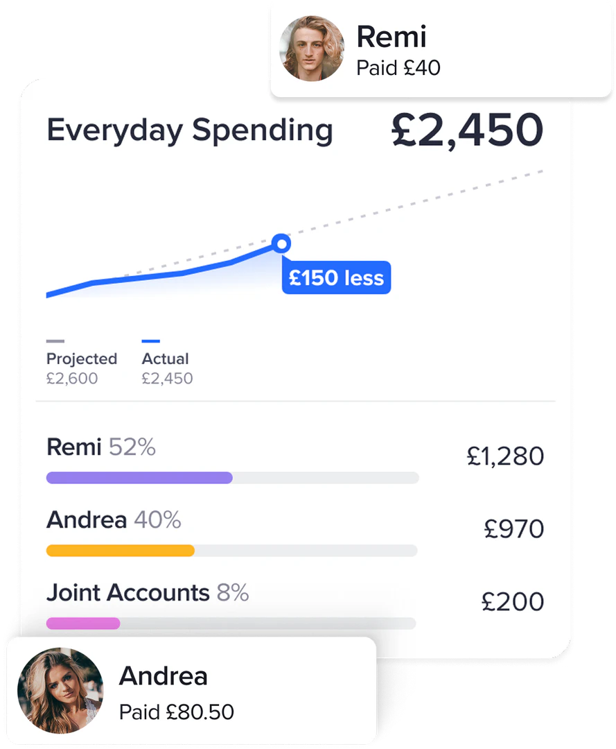 Lumio Pro interface for managing shared expenses