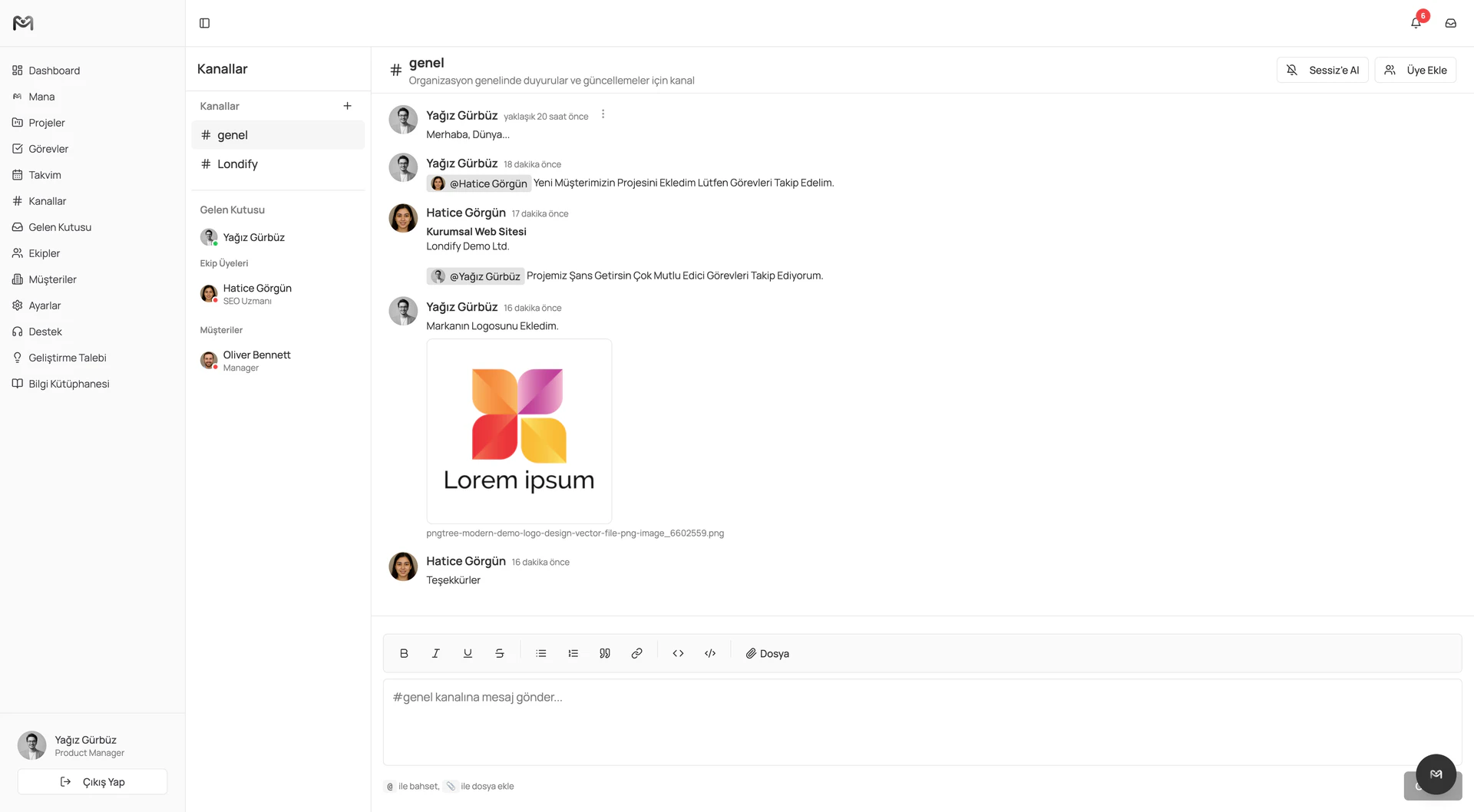 Managelify internal team communication feature