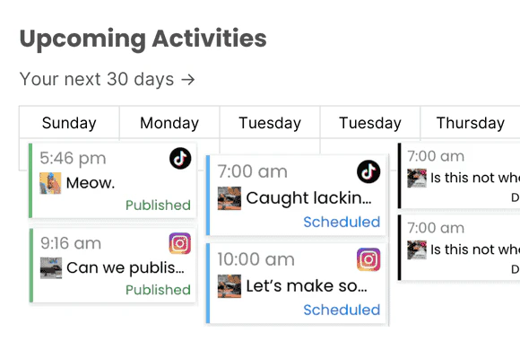 Mavicai upcoming activities showcasing scheduled posts