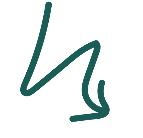 Meet-Ting feature demonstration