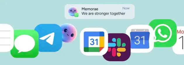 Memorae product overview interface
