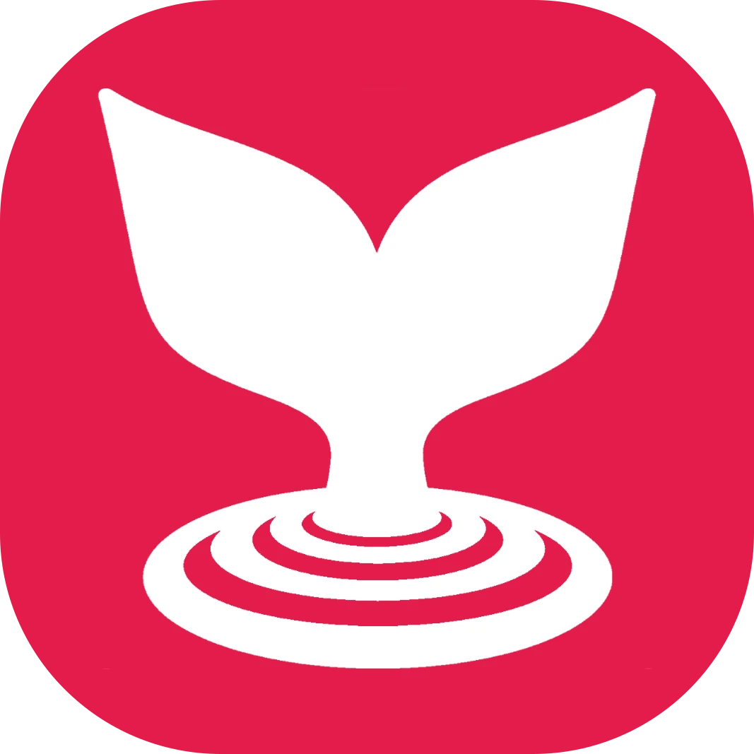 Mermaidviewer product overview