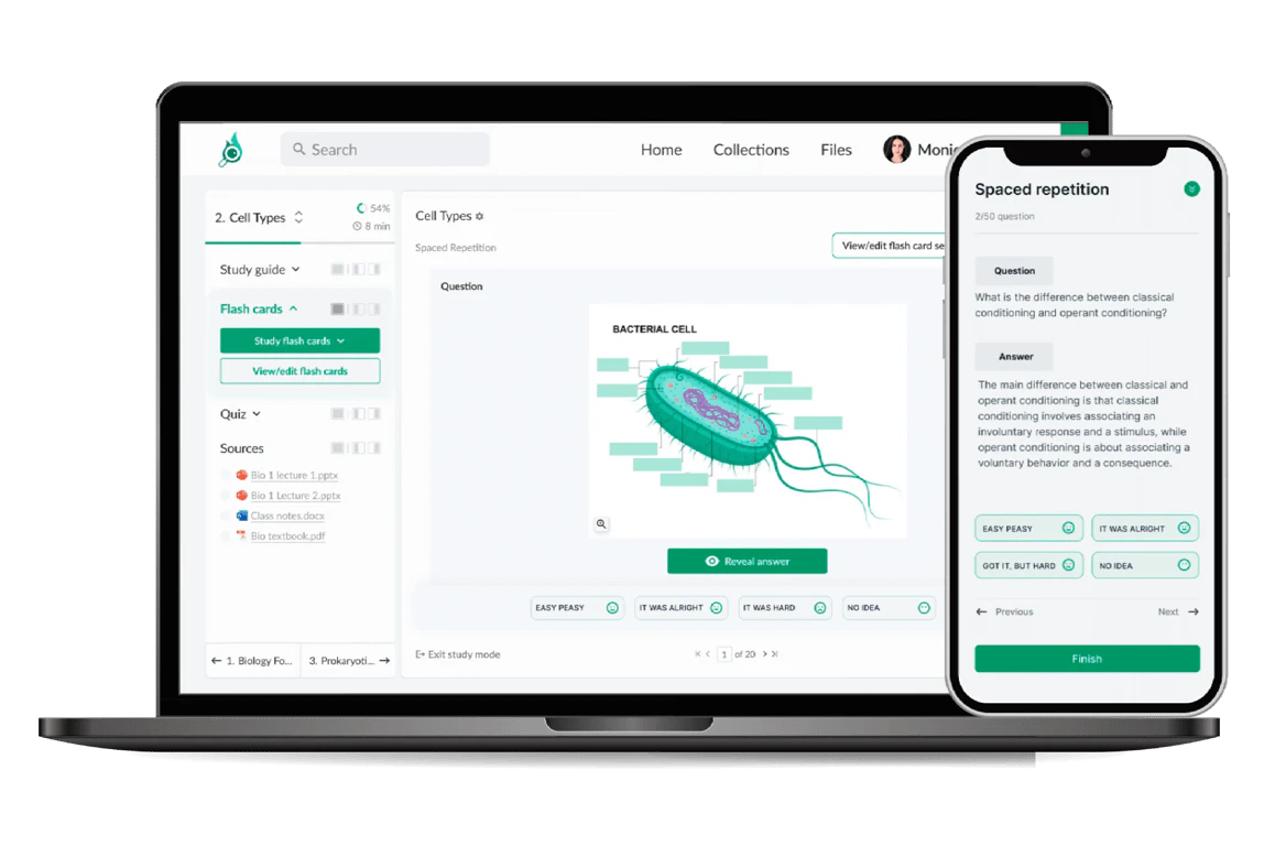 Monic.ai product interface overview