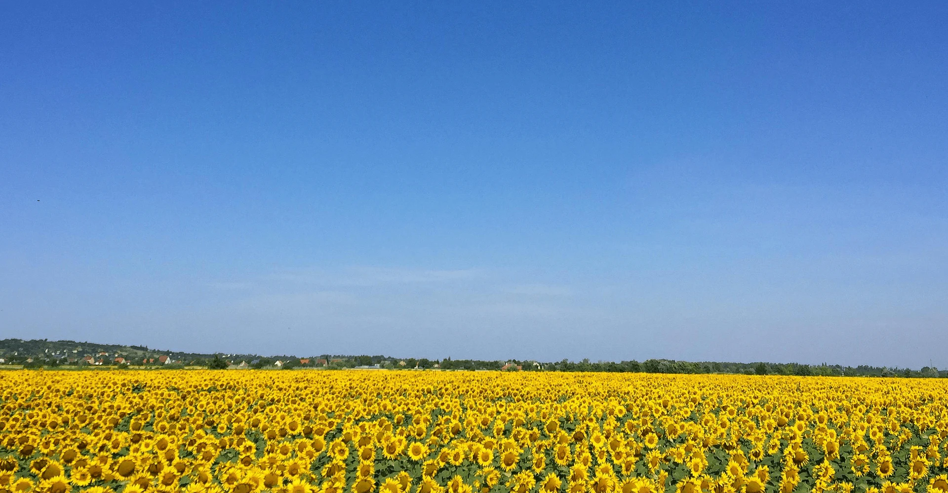 Myndai user scenario image depicting diverse users