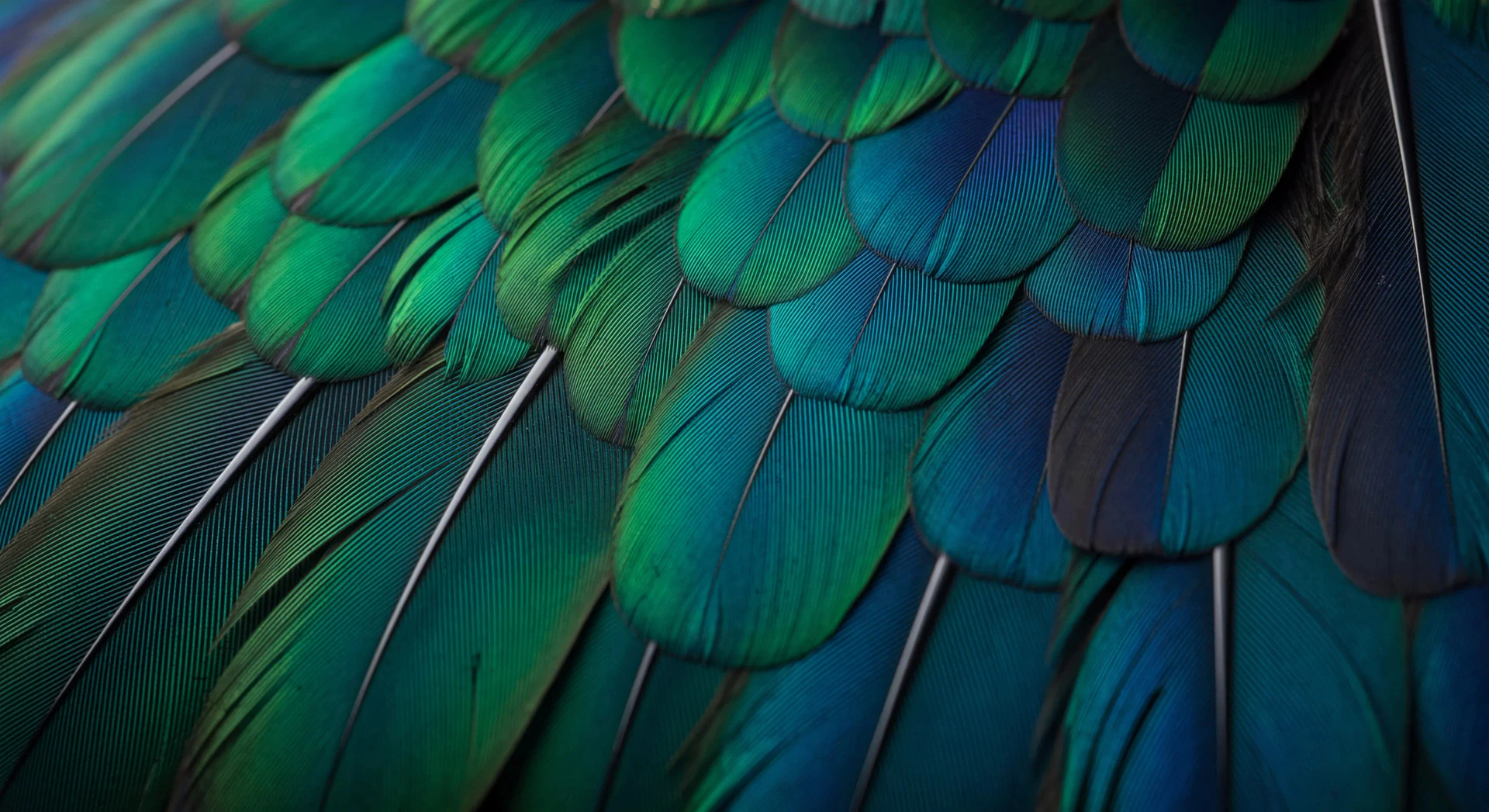 Nano Banana 2 user scenario image for marketing and advertising