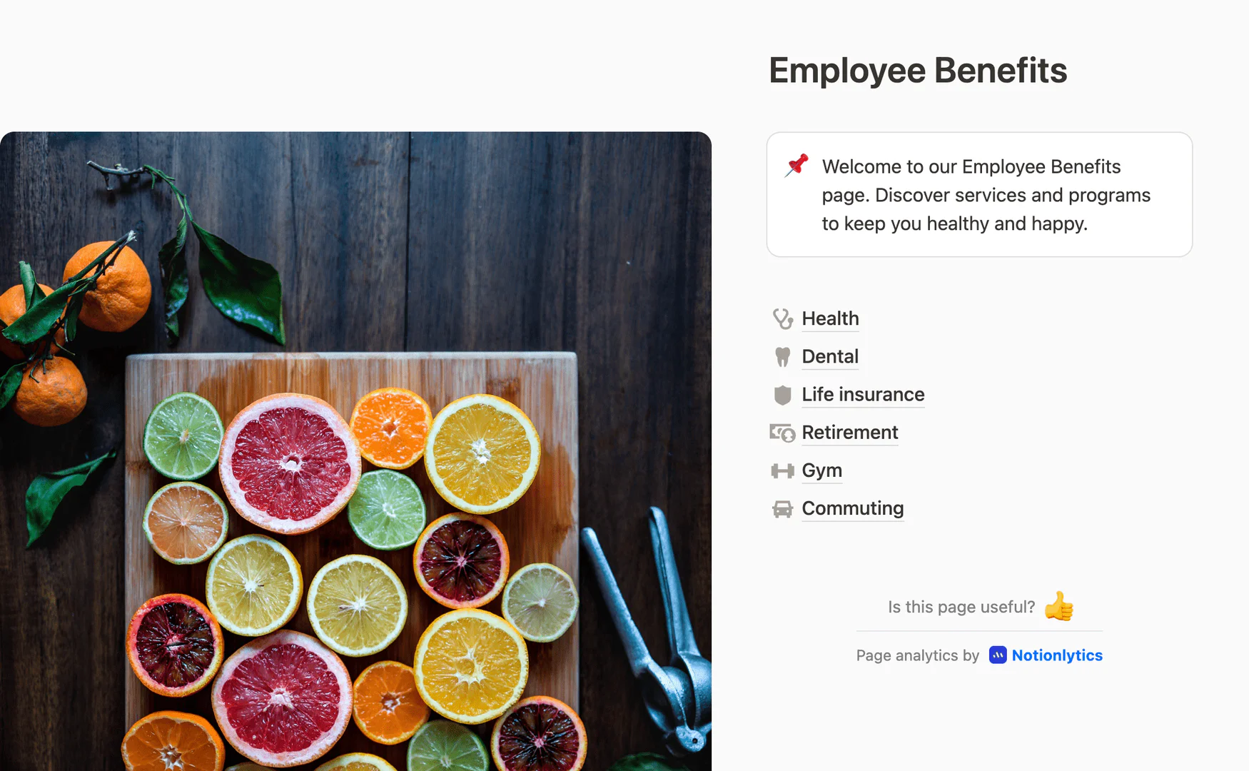 Notionlytics interactive widgets demonstration