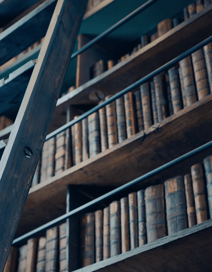 Omnisearch archivist use case example