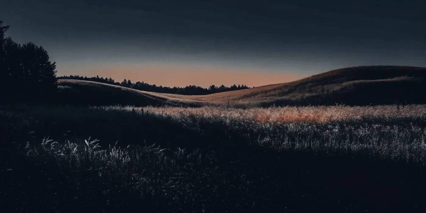 Palix AI user scenario image