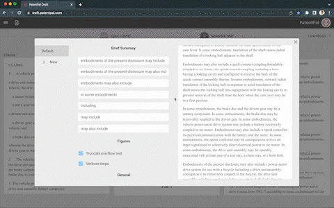 PatentPal feature demonstration showing phrase customization