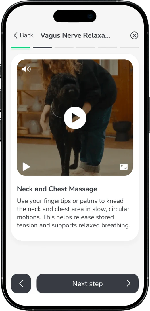 Paw Champ video tutorials demonstration