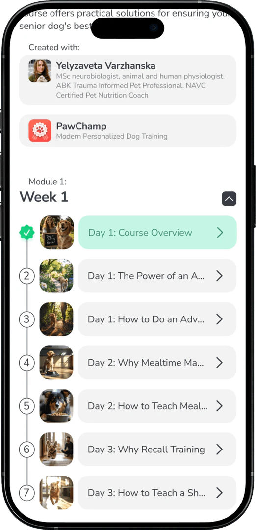 Paw Champ step-by-step guides