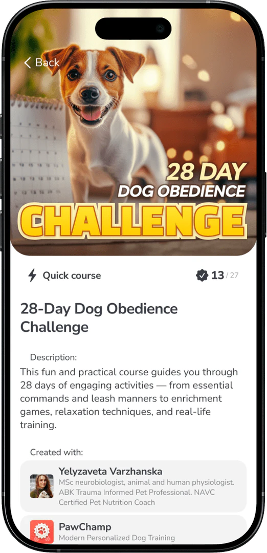 Paw Champ use case example