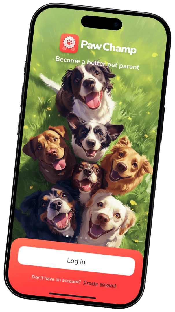 Paw Champ product interface overview