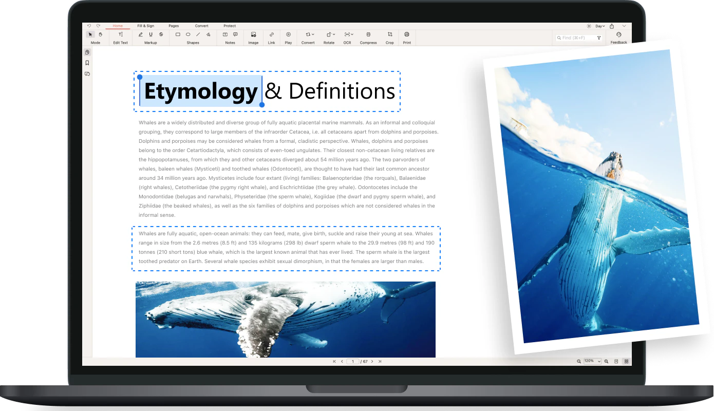 PDFgear editing features demonstration