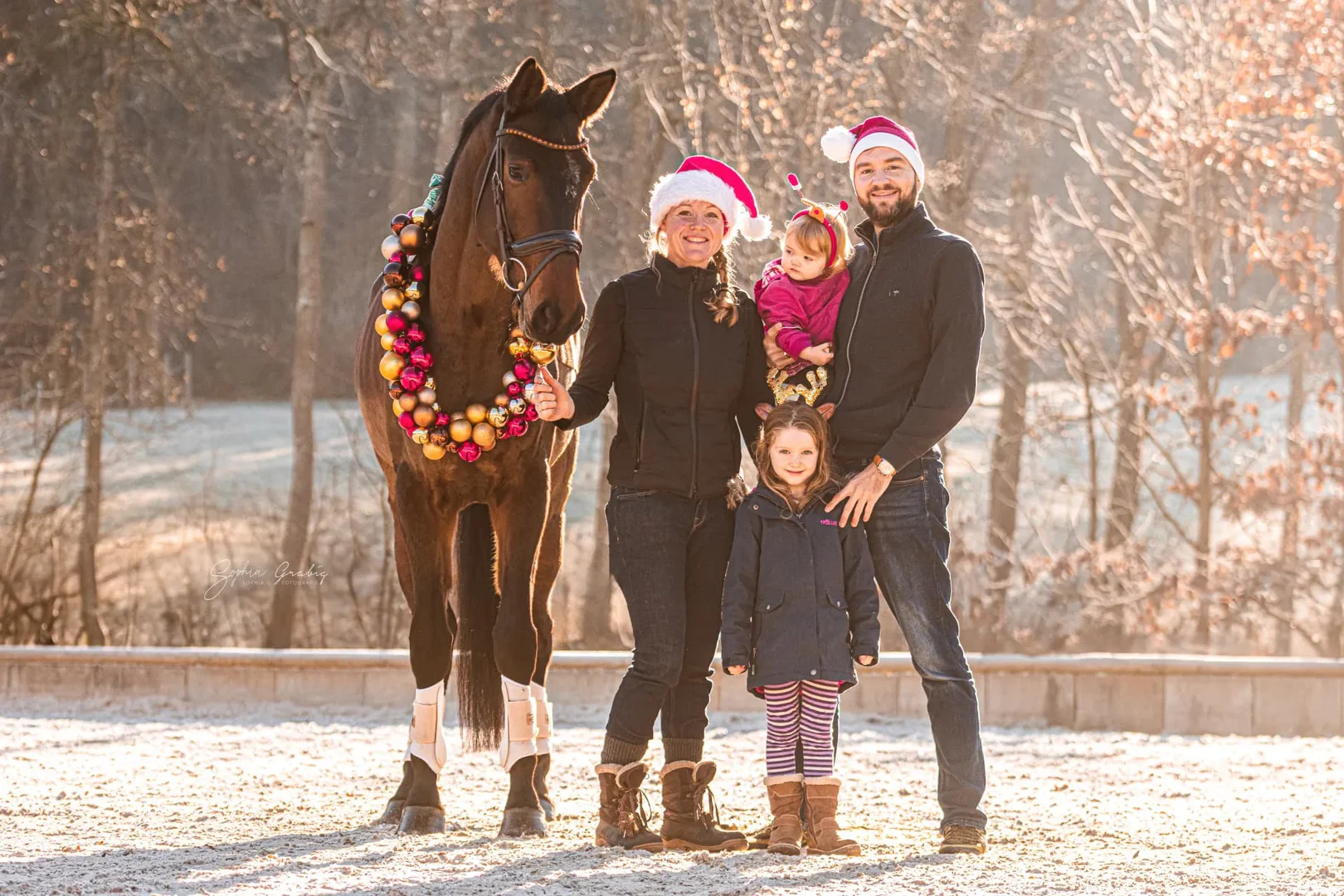 Pferdewert target audience image