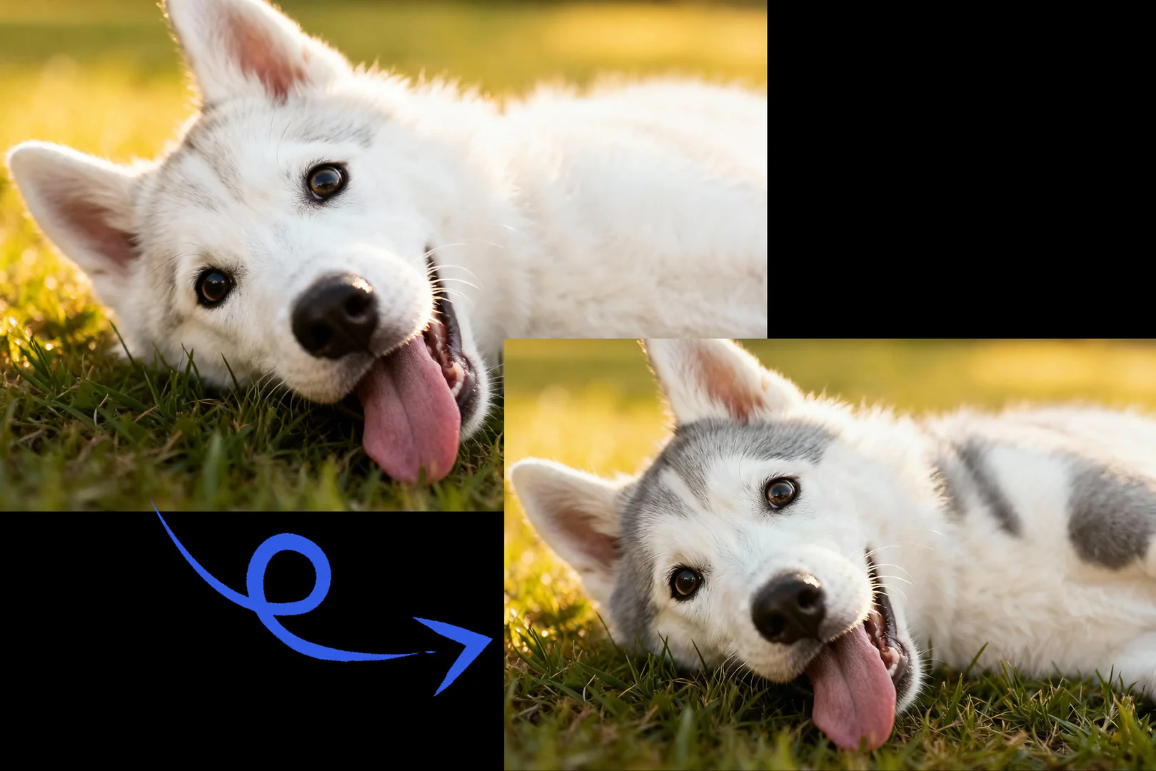 AI Image Editor product interface