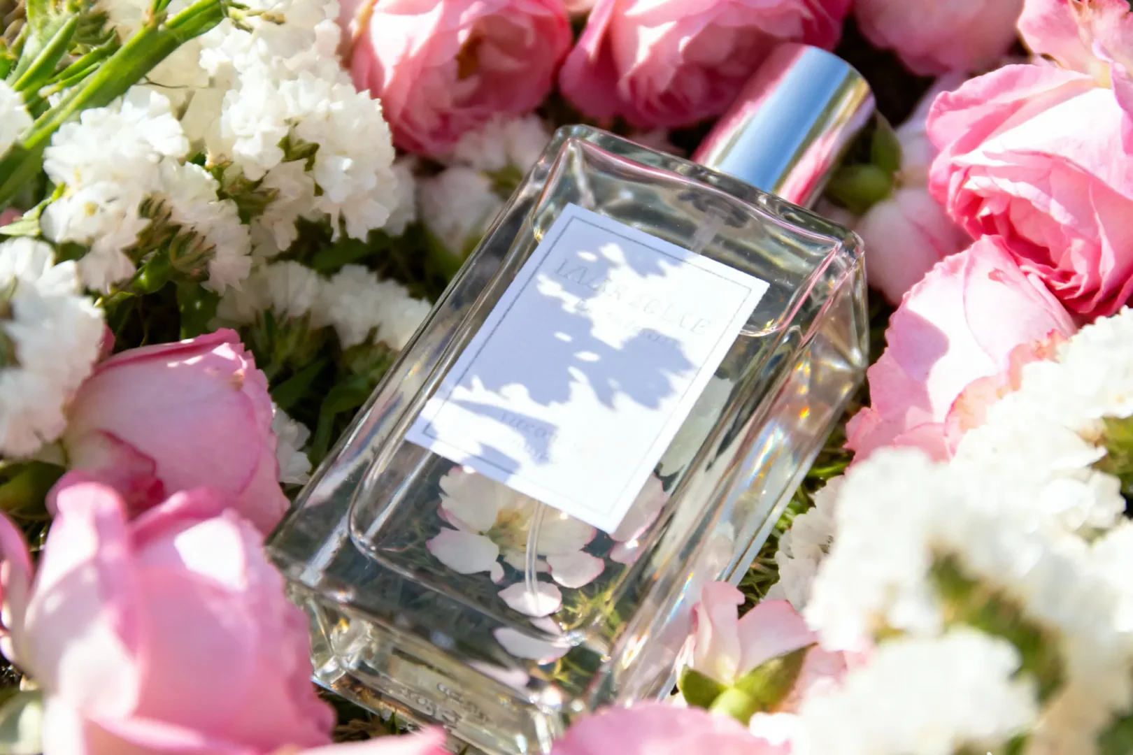 AI Image Editor user scenario image