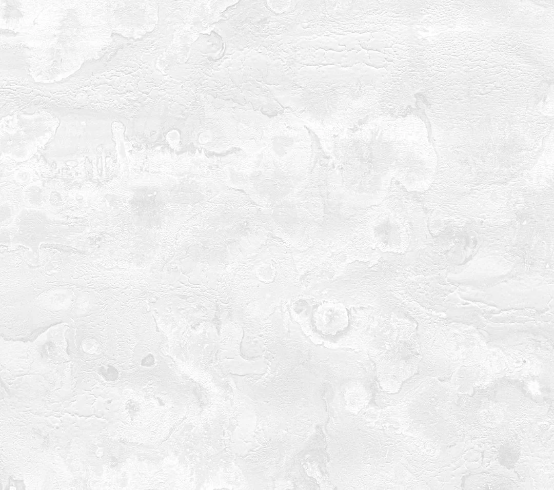 Pizi AI product interface overview