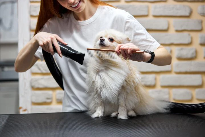 Planaura main features demonstration