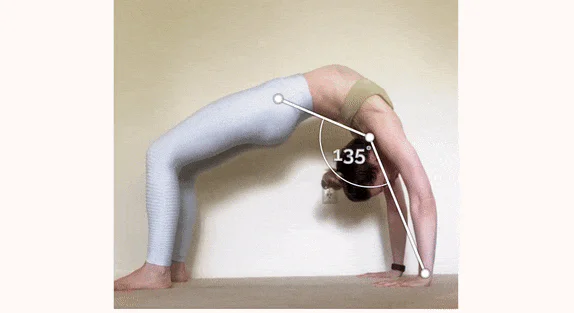 PoseTracker flexibility analysis tool demonstration